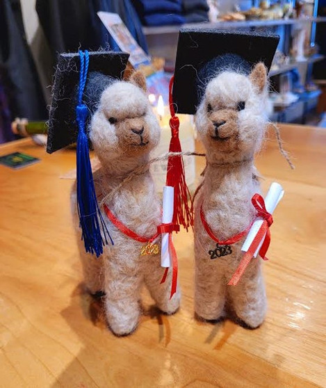 graduation alpaca stuffed animal / doll