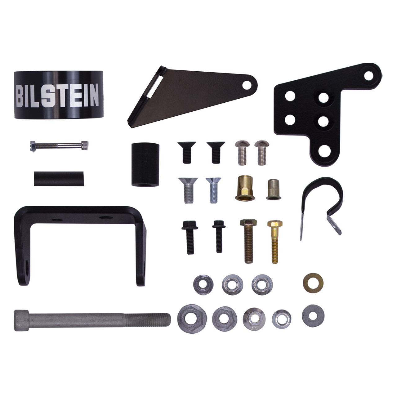 Bilstein Shock Absorbers - 25-305364