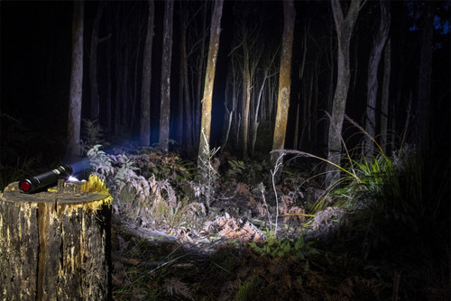 ARB - 10500070 - Pureview 800 Flashlight - 10500070