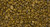 SS_SOLAR_GOLD.jpg