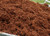 15x Pack of Coconut Coir 650g Brick 20x10x5cm