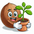 15x Pack of Coconut Coir 650g Brick 20x10x5cm