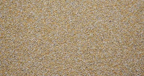 12.5Kg Sack of Reptile Sand