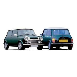 MINI AUSTIN dal 10 - 1981 al 05 - 1993