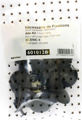 Kit Viti di fissaggio per assemblaggio Parafango Anteriore per RENAULT SCENIC II 2003-2009 Nuovo