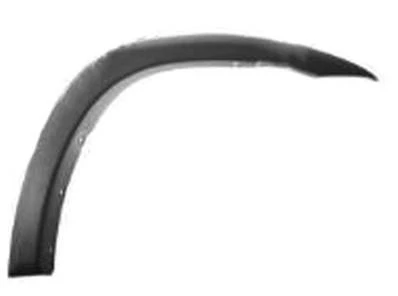 Parafanghino Anteriore destro per TOYOTA RAV4 dal 2003 al 2005 Parte Posteriore Nuovo