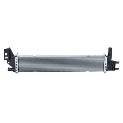 Radiatore raffreddamento motore per DACIA DOKKER fase 1 2012-2017, OEM 214108831R, nuovo