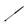 Portellone posteriore con ammortizzatore a gas destro/sinistro per FIAT-IVECO GRANDE PUNTO 2005-2012, 350 N - L 436 mm - C 180 mm - 18 mm - 8 mm, Nuovo
