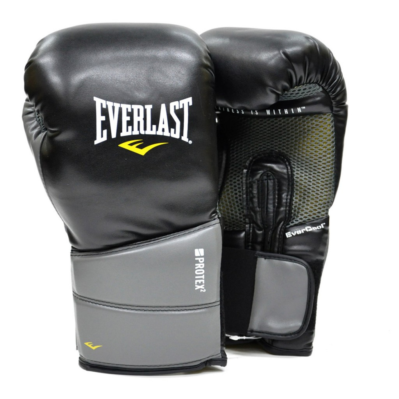 everlast protex2 training boxing gloves