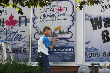 See thru window decals