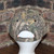 Realtree Pisscutter camo hat by Hollywood Filane #pisscutter