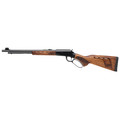 Savage Arms Revelation Deluxe .22 WMR 18" 9-Round Black Rifle