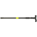 Covert Cane Stun Device with Case - 1ML Volts