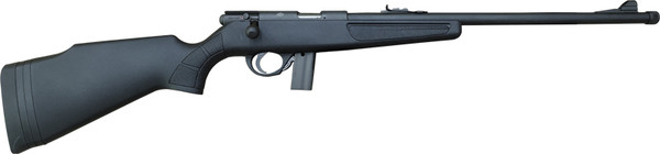 Rock Island YTA 22LR Rifle with 10RD Threaded Polymer Stock