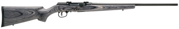 Savage Arms A17 Sporter 17 WSM Rifle with High Luster Barrel and Matte Gray Laminate Stock