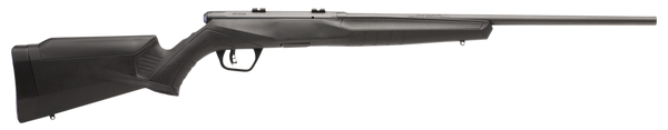 Savage Arms B17 F Compact 17 HMR Left-Handed Rifle with Matte Black Finish