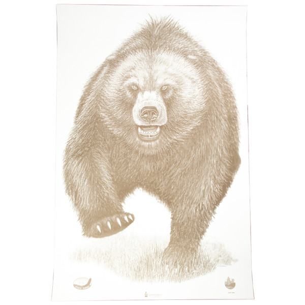Action Target AK State Park Bear 100 Pack