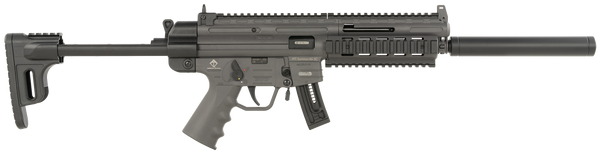 GER GSG-16 .22LR 16.25" 10-Round SMK Rifle