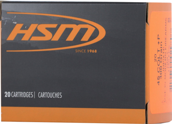 POINT 20RD 20BX/CSHSM 45 LC 300GR XTP HOLLOW