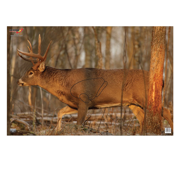 Birchwood Casey EZE-Scorer Whitetail Deer Target, 23"x35", Multi-Color, 2-Pack