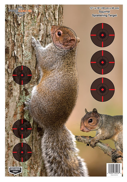 Birchwood Casey Pregame Squirrel Target 12"x18" - 8 Pack
