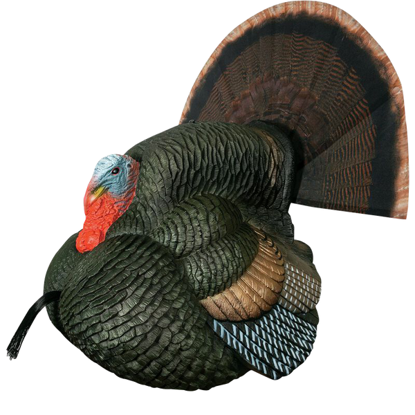 Primos 69076 Lil' Gobblestopper Strutter Box Call for Authentic Turkey Sounds