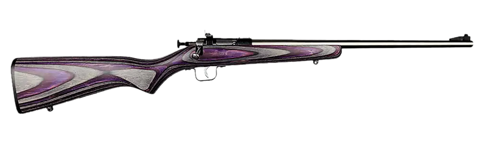 Crickett KSA2228 Youth .22 LR Rifle with Purple Laminate Stock and Stainless Steel Barrel