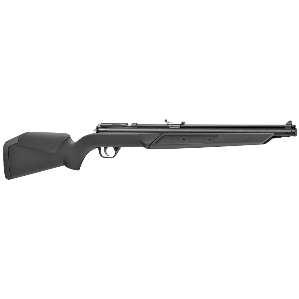 Benjamin .177 Caliber Black Pellet Pump Rifle