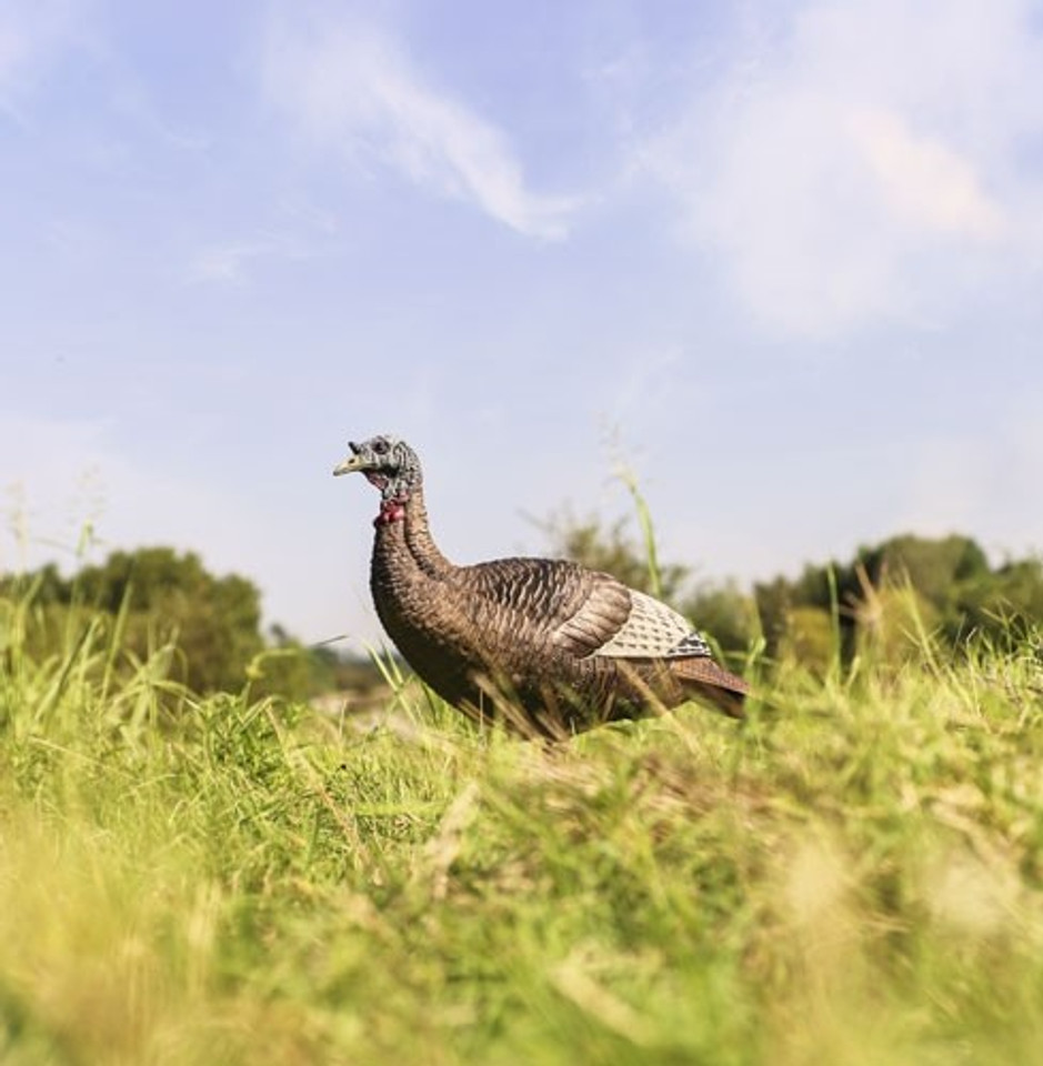 FlexTone Thunder Chick Upright Hen Decoy with Stake