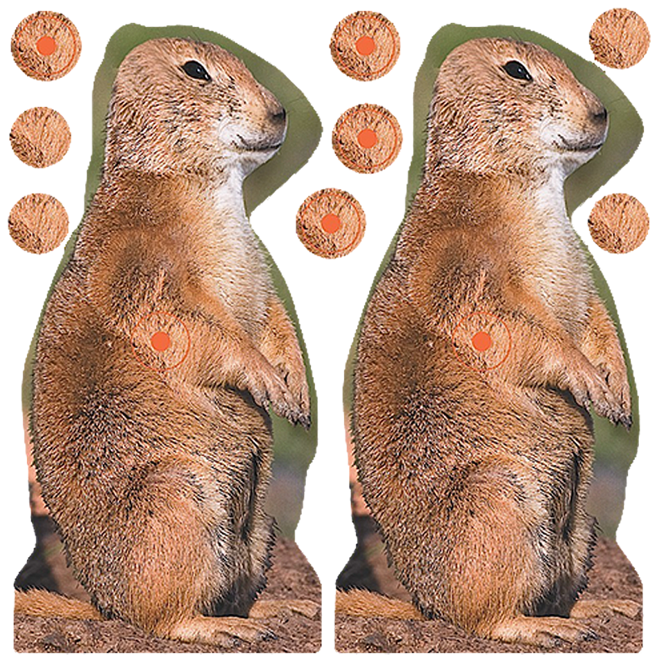 Birchwood Casey 34786 Shoot-N-C 8" Prairie Chuck Reactive Targets - 12 Pack