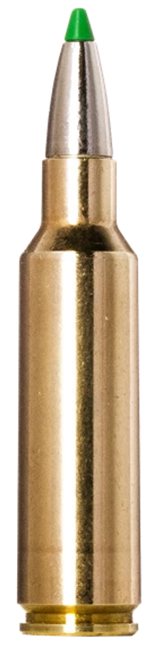 Norma Ecostrike 300WSM 165gr Ammunition - 20 Rounds per Box