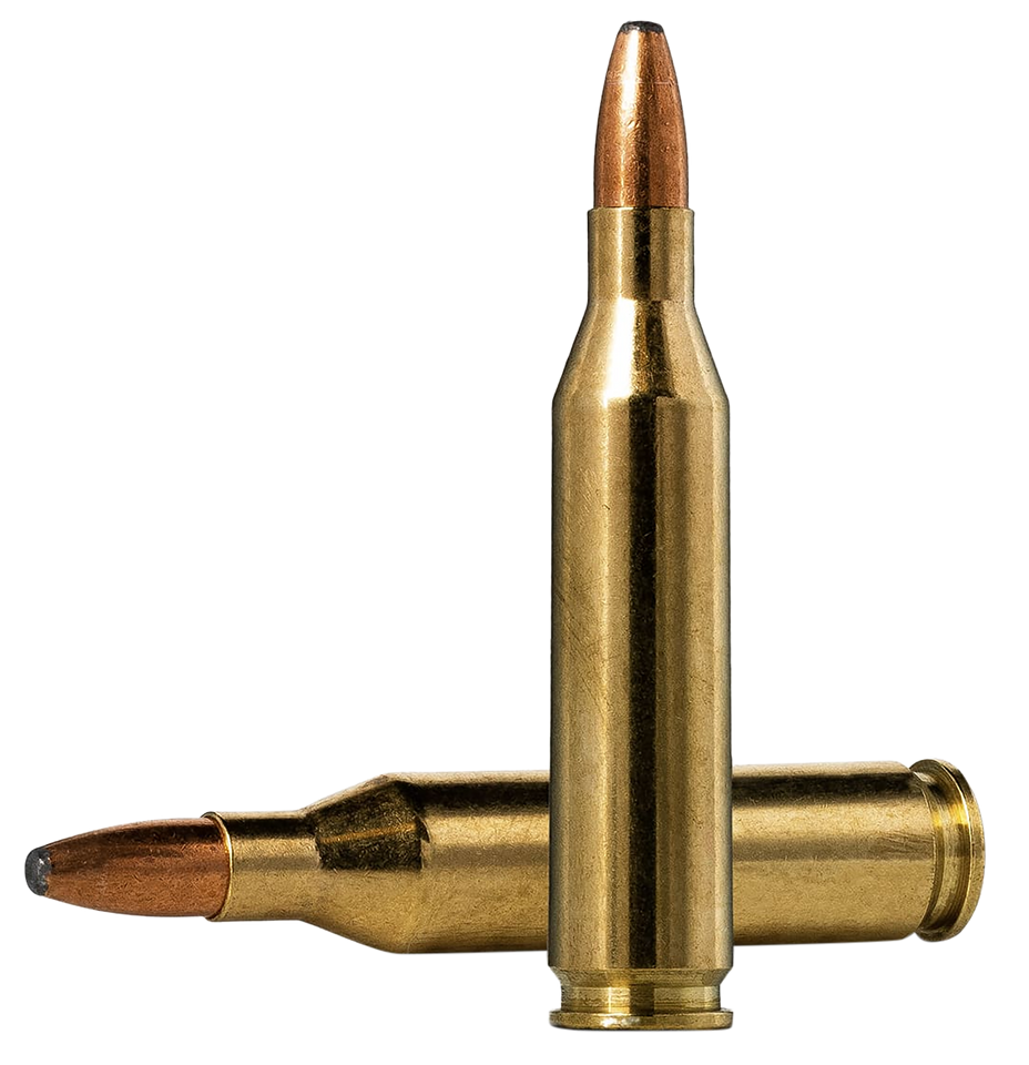 Norma Oryx .243 Win 100gr Ammunition - 20 Rounds per Box, 10 Boxes per Case