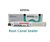 Adseal Root Canal Sealer
