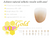 CAD/CAM Zirconia VIP Gold A Colors