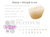 CAD/CAM Zirconia VIP Platinum B Colors