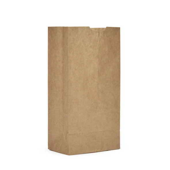 AJM Packaging Rectangular Brown Paper Grocery Bag- 500ct  5 x 3 x 9.75 IN