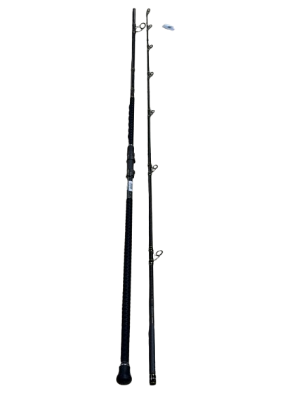 Penn Carnage III 10' MH Casting (2 Piece)