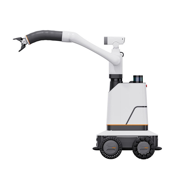 Autonomous Patrol Robot with Flexible Arm