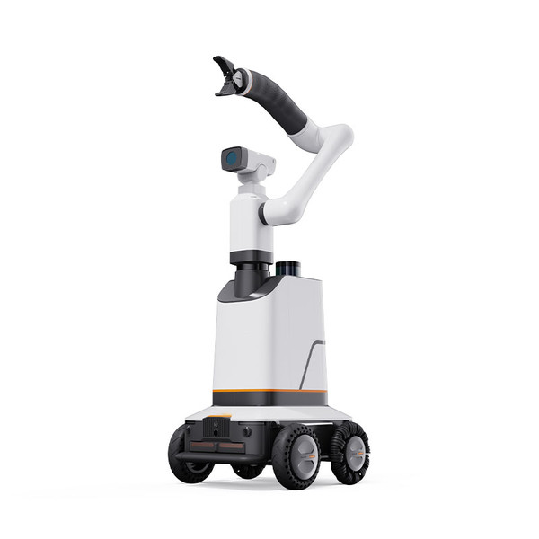 Intelligent Outdoor Inspection Robot