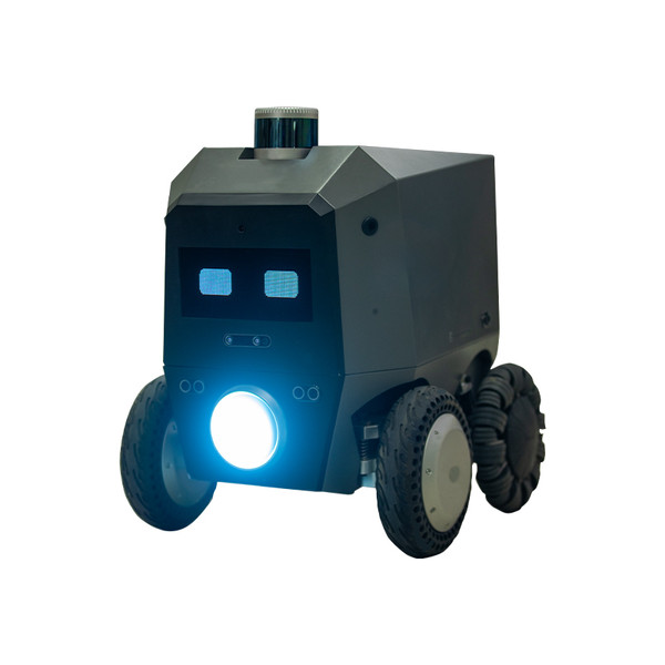 AI-Powered Delivery UGV