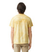 1745 Heavyweight Color Blast Adult T-Shirt (Citrine)