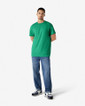2000 Adult T-Shirt Full Length (Kelly Green)