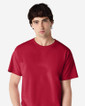 2000 Adult T-Shirt (Cardinal Red)