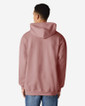 SF500 Midweight Fleece Adult Hoodie Back 2 (Paragon)