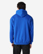 SF500 Midweight Fleece Adult Hoodie Back (Royal)