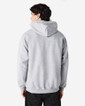 SF500 Midweight Fleece Adult Hoodie Back (RS Sport Grey)