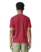 1717 Heavyweight Adult T-Shirt Back (Chili)