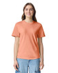 1717 Heavyweight Adult T-Shirt Front (Terracotta)