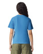1717 Heavyweight Adult T-Shirt Back (Royal Caribe)