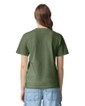 1717 Heavyweight Adult T-Shirt Back (Hemp)